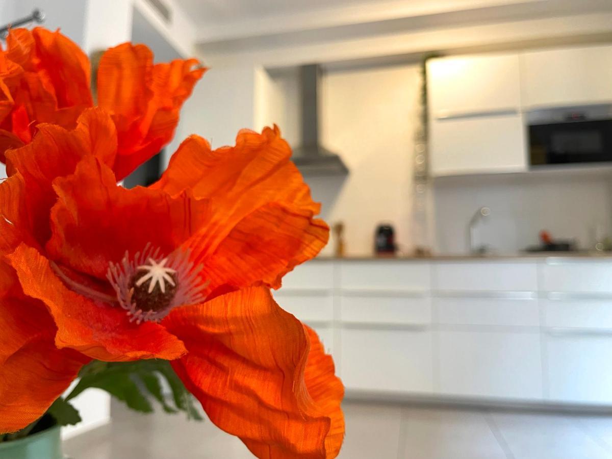 Skysea Holidays City Center Suites Málaga Eksteriør bilde